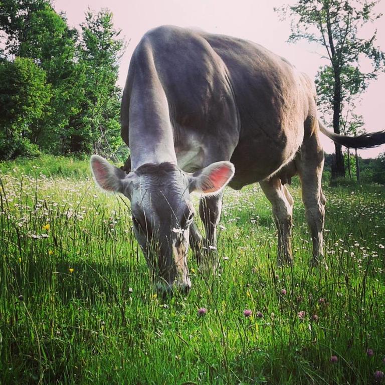 Agriturismo Dell'Altopiano Serle Экстерьер фото